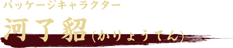 パッケージキャラクター 河了貂(かりょうてん)