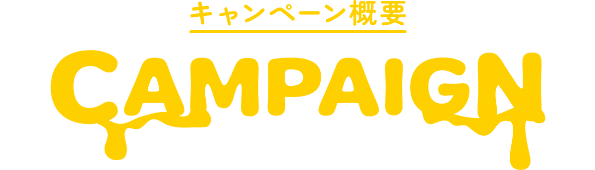 キャンペーン概要