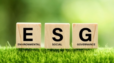 ESGデータ集