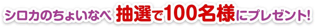 シロカのちょいなべ 抽選で100名様にプレゼント!