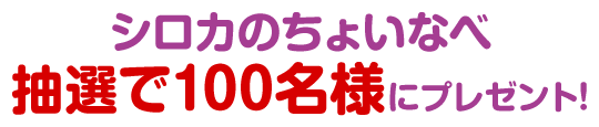 シロカのちょいなべ 抽選で100名様にプレゼント!