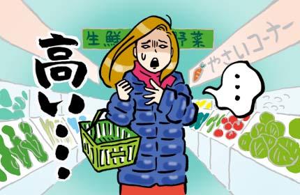 葉物野菜が高い!代わりに使いたいのはあの、優秀かさ増し野菜!