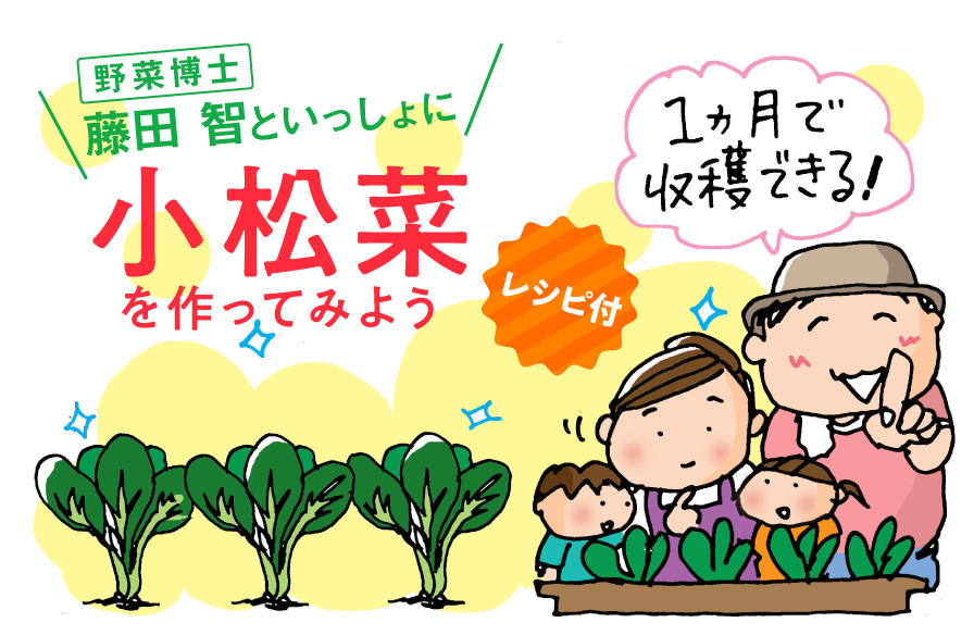 1カ月で収穫できる!野菜博士・藤田 智といっしょに小松菜を作ってみよう