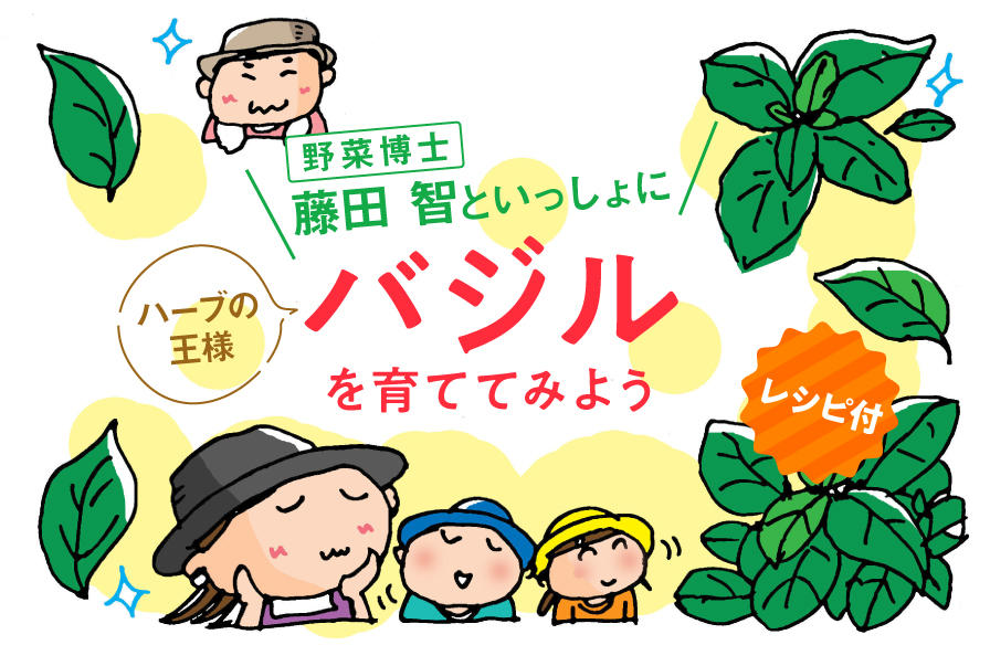 野菜博士 藤田 智といっしょに ハーブの王様 バジルを育ててみよう おいしいnews エバラ食品