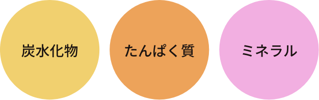 炭水化物・タンパク質・ミネラル