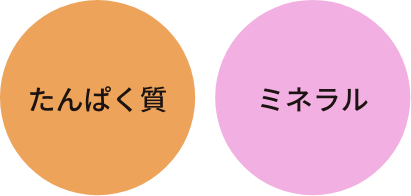 たんぱく質・ミネラル・DHA・EPA