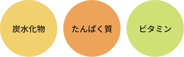 炭水化物・たんぱく質・ビタミン