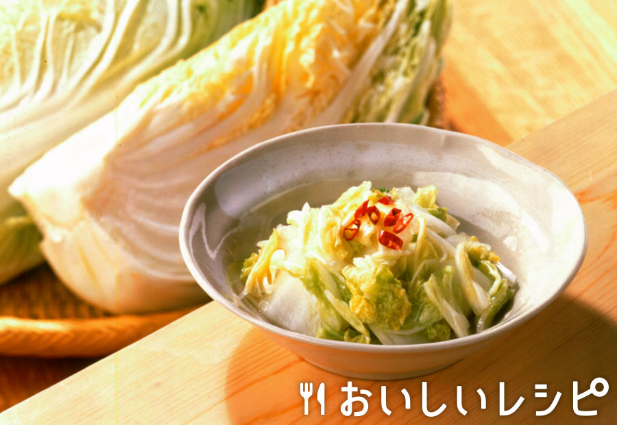 白菜の浅漬け~じっくり漬け~