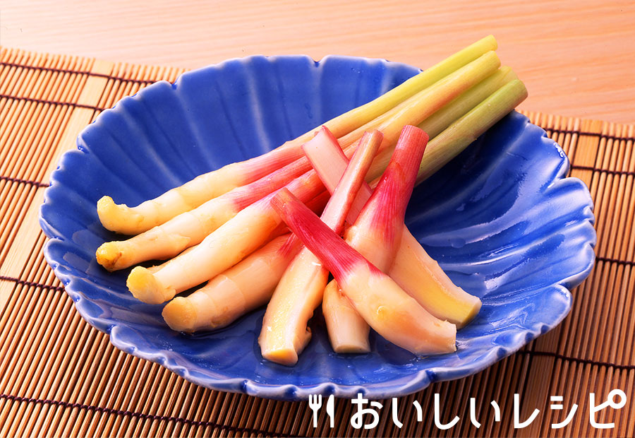 生姜の甘酢漬け