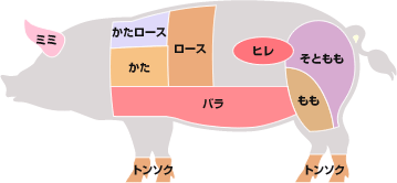 お肉の部位の特徴 おいしいレシピ エバラ食品