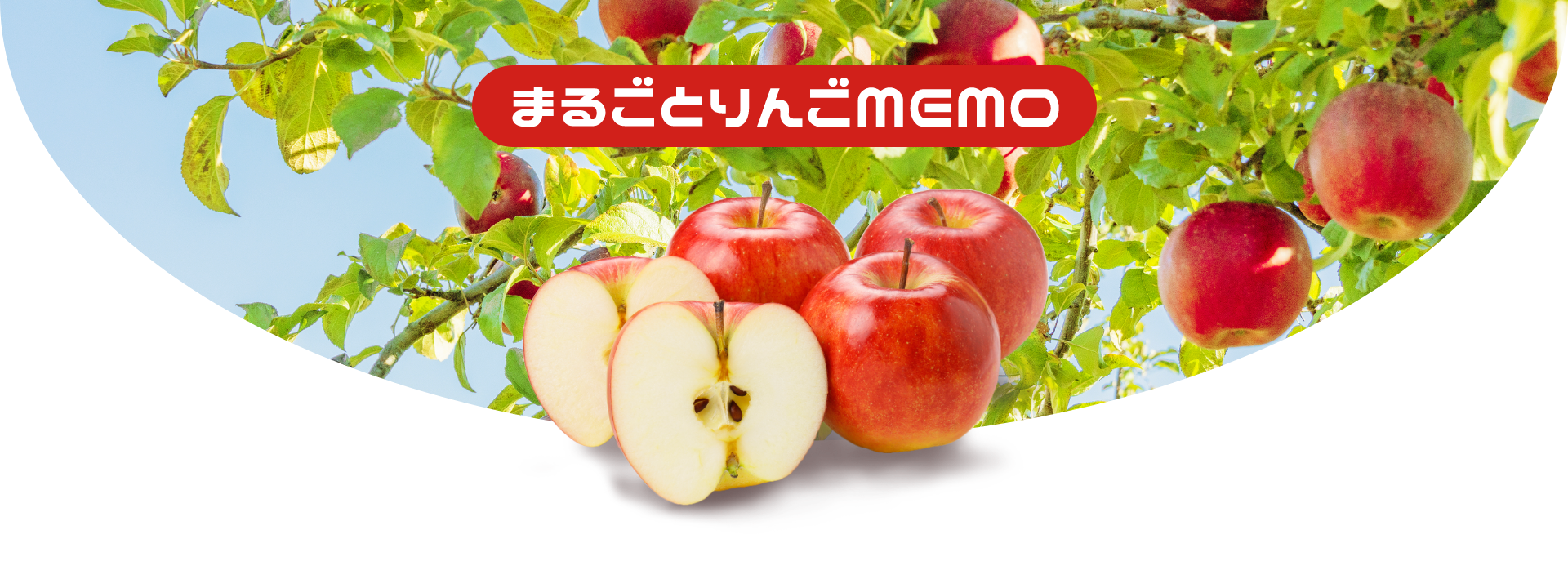 まるごとりんごmemo