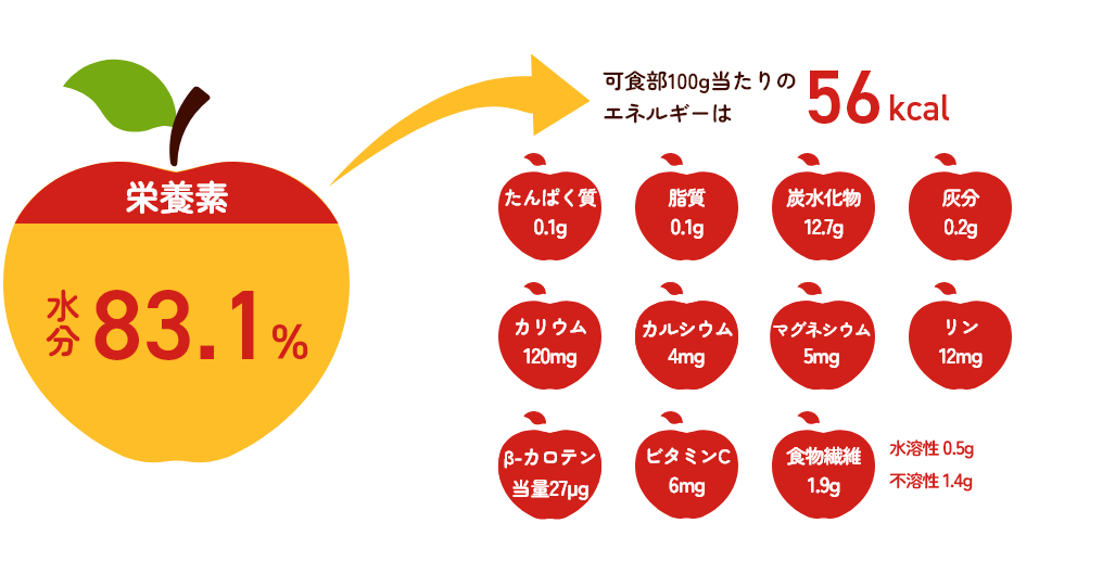 りんごは健康によい栄養成分がたっぷり