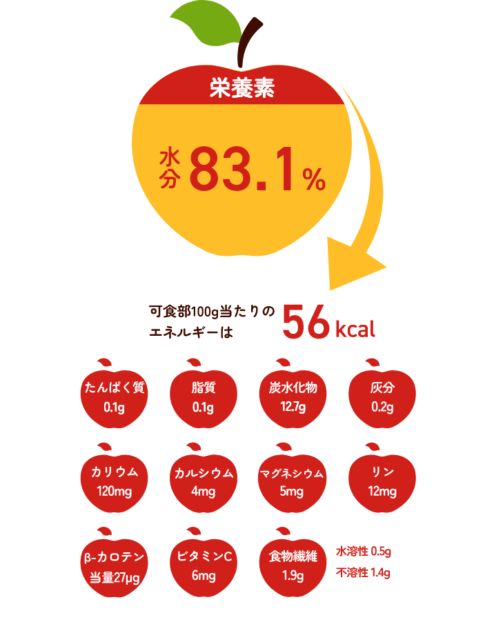 りんごは健康によい栄養成分がたっぷり