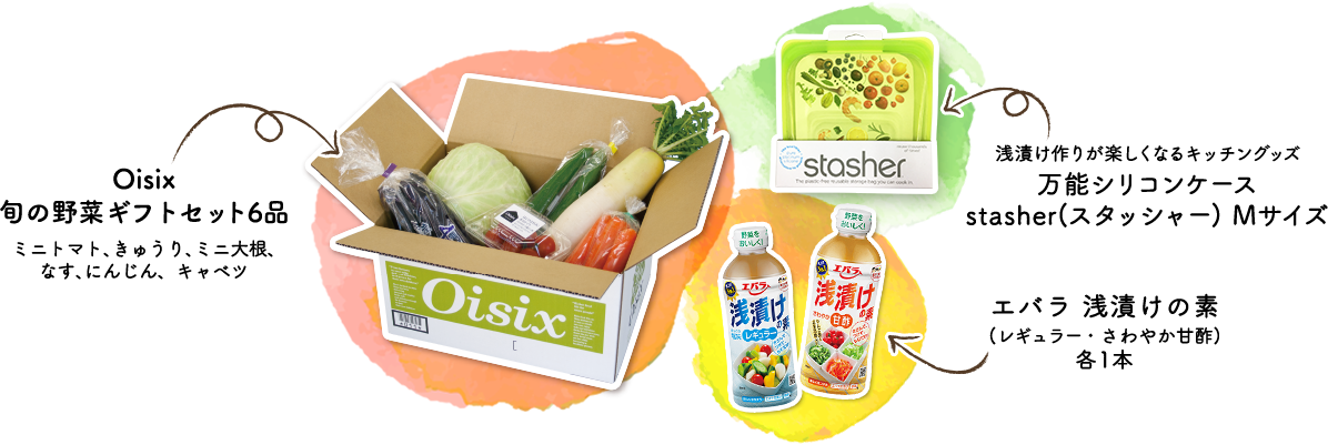 Oisix 旬の野菜ギフトセット6品(ミニトマト、きゅうり、ミニ大根、なす、にんじん、キャベツ) 浅漬け作りが楽しくなるキッチングッズ 万能シリコンケース stasher（スタッシャー）Mサイズ エバラ 浅漬けの素(レギュラー・さわやか甘酢)各1本