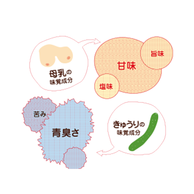 母乳の味覚成分:甘味、甘味、塩味 きゅうりの味覚成分:青臭さ、苦味