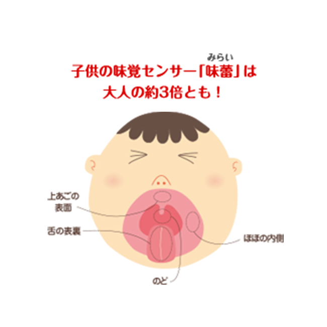 子供の味覚センサー「味蕾（みらい）」は大人の約3倍とも！