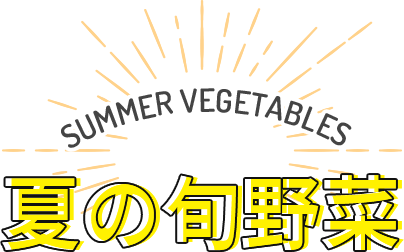 SUMMER VEGETABLES 夏の旬野菜