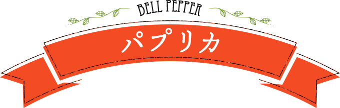 BELL PEPPER パプリカ