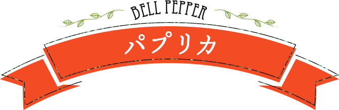 BELL PEPPER パプリカ