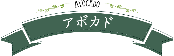 AVOCADO アボカド