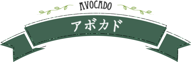 AVOCADO アボカド