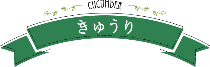 cucumber きゅうり