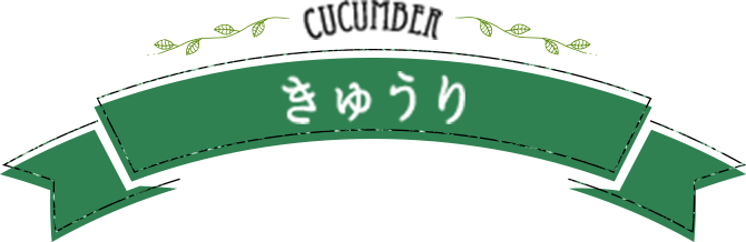 cucumber きゅうり