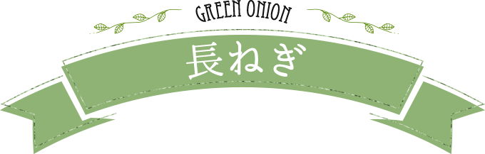 greenonion 長ねぎ