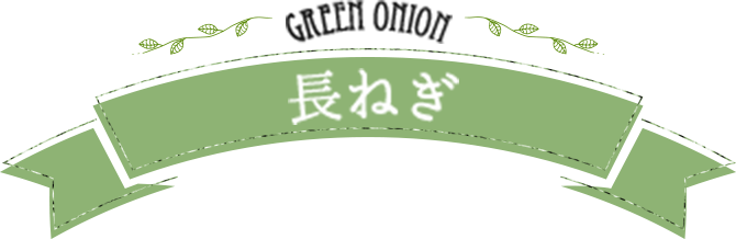 greenonion 長ねぎ