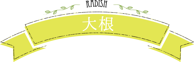 radish 大根