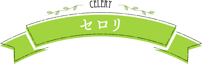 celery セロリ