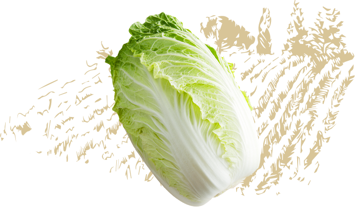 白菜