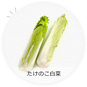 たけのこ白菜