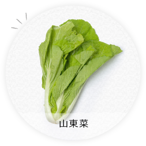 山東菜