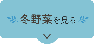 冬野菜を見る