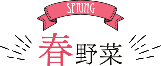 SPRING 春野菜