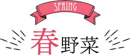 SPRING 春野菜