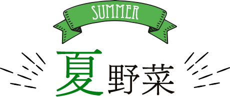 SUMMER 夏野菜