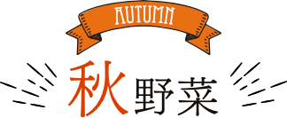 AUTUMN 秋野菜