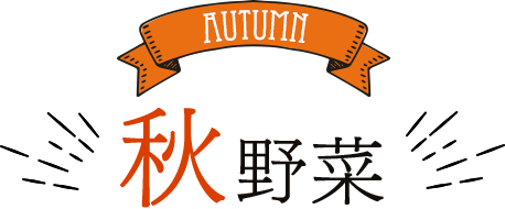 AUTUMN 秋野菜