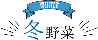 WINTER 冬野菜