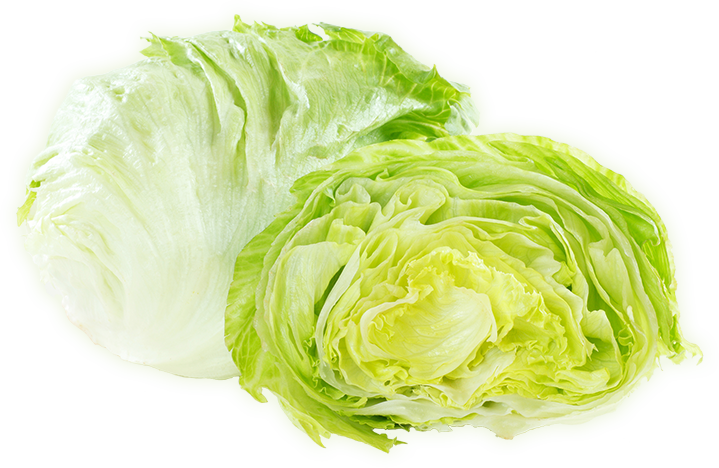 元のチシャ 野菜 最高の花の画像