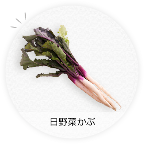 日野菜かぶ