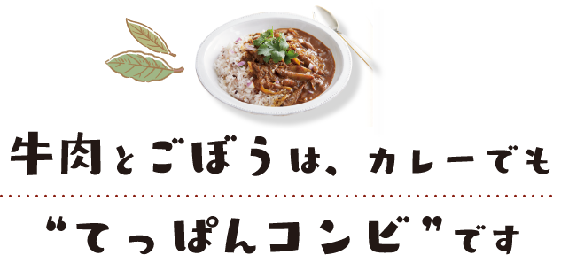 牛肉とごぼうは、カレーでも“てっぱん”コンビです