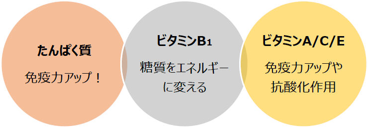 たんぱく質:免疫力アップ! ビタミンB1:糖質をエネルギーに変える。 ビタミンA/C/E:免疫力アップや抗酸化作用
