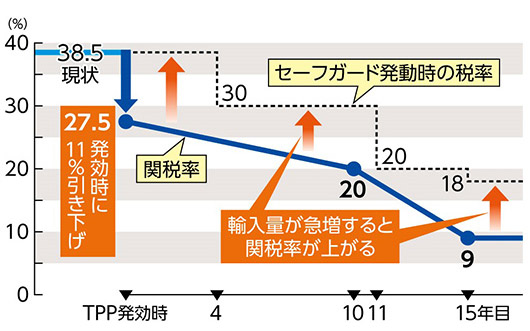 TPP11　発効による牛肉に対する関税率引き下げの仕組み