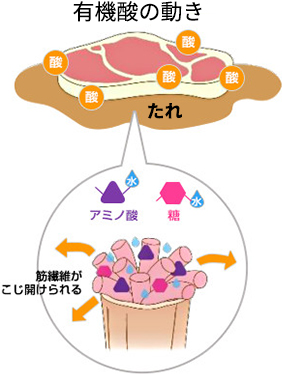 焼肉のたれに漬け込むことでジューシーに！うまみの相乗効果も！