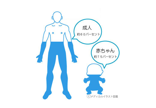 夏バテ・熱中症予防に「筋肉貯金」今日から始める「たんぱく質１食２０グラムチャレンジ」！筋肉は水分をためるタンクの役割に