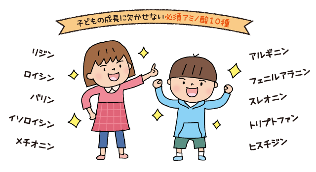 子どもの成長に欠かせない必須アミノ酸10種：リジン、アルギニン、ロイシン、フェニルアラニン、バリン、スレオニン、イソロイシン、トリプトファン、メチオニン、ヒスチジン