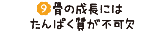 (09)骨の成長にはたんぱく質が不可欠